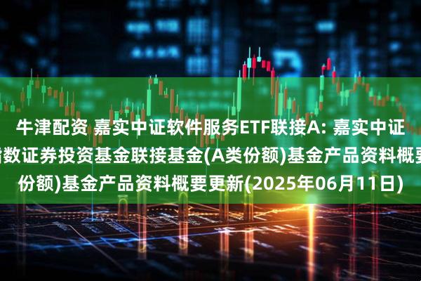 牛津配资 嘉实中证软件服务ETF联接A: 嘉实中证软件服务交易型开放式指数证券投资基金联接基金(A类份额)基金产品资料概要更新(2025年06月11日)