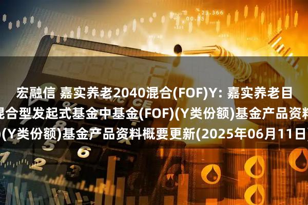 宏融信 嘉实养老2040混合(FOF)Y: 嘉实养老目标日期2040五年持有期混合型发起式基金中基金(FOF)(Y类份额)基金产品资料概要更新(2025年06月11日)