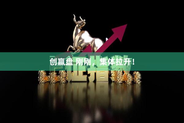 创赢盘 刚刚，集体拉升！