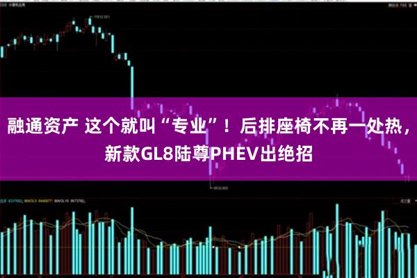 融通资产 这个就叫“专业”！后排座椅不再一处热，新款GL8陆尊PHEV出绝招