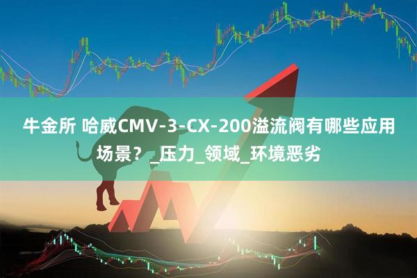 牛金所 哈威CMV-3-CX-200溢流阀有哪些应用场景？_压力_领域_环境恶劣