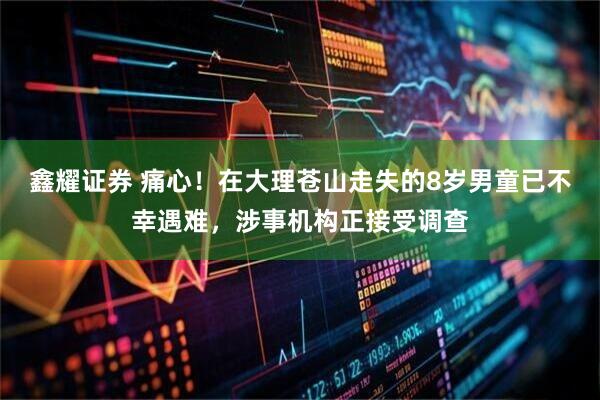 鑫耀证券 痛心！在大理苍山走失的8岁男童已不幸遇难，涉事机构正接受调查