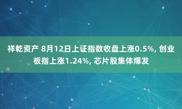 祥乾资产 8月12日上证指数收盘上涨0.5%, 创业板指上涨1.24%, 芯片股集体爆发