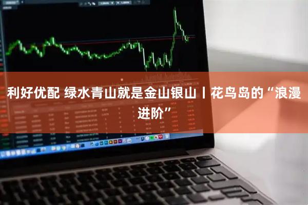 利好优配 绿水青山就是金山银山丨花鸟岛的“浪漫进阶”