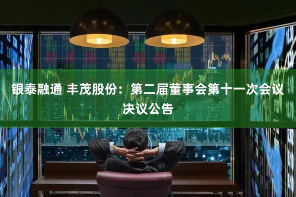 银泰融通 丰茂股份：第二届董事会第十一次会议决议公告