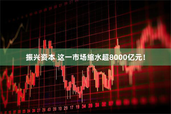 振兴资本 这一市场缩水超8000亿元！
