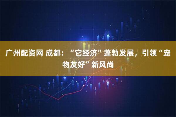 广州配资网 成都：“它经济”蓬勃发展，引领“宠物友好”新风尚